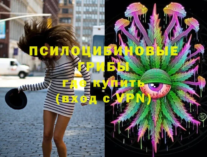 Псилоцибиновые грибы MAGIC MUSHROOMS  кракен как зайти  Шадринск  наркотики 